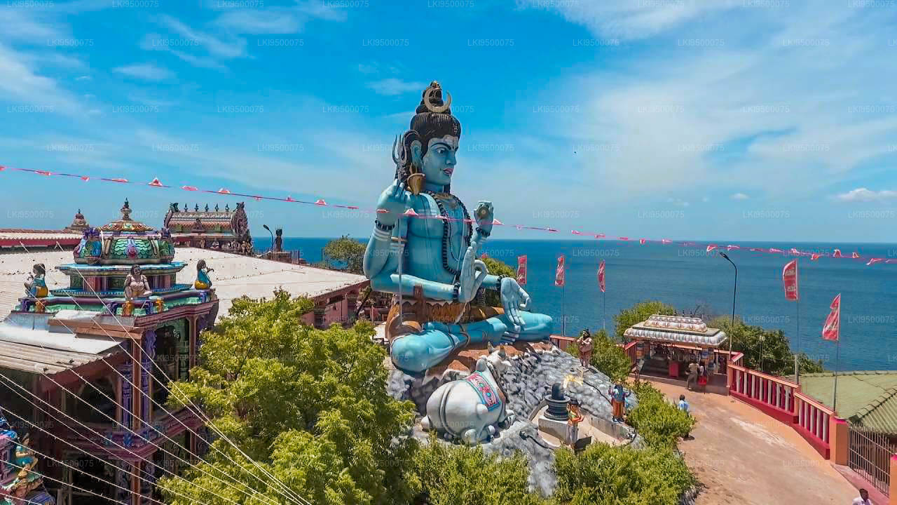 LKI9500075-01-E_b9676f68-bb02-4827-ad28-9de134e5b198 (1)